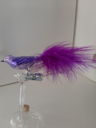 Vogel lila mit Feder