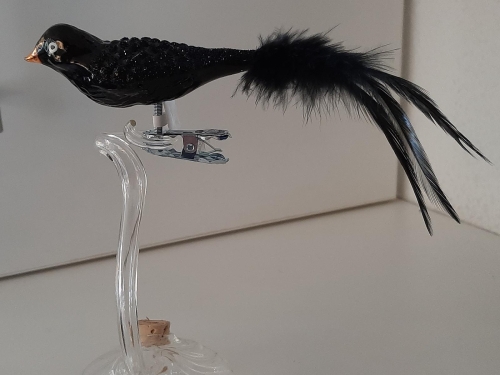 Vogel schwarz mit Feder