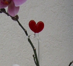 Orchideenstab mit Herz 50cm