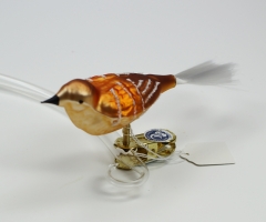 Vogel goldnessel mit Glasschwanz